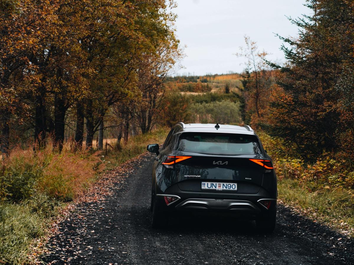 Kia Sportage á malarvegi Kia Sportage 4x4 bílaleigubíll á malarvegi í skógi á Íslandi, séður aftan frá
