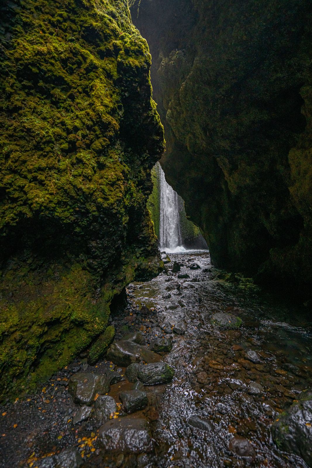 Aerial view of Nauthusagil Canyon with its hidden gem and moss covered walls