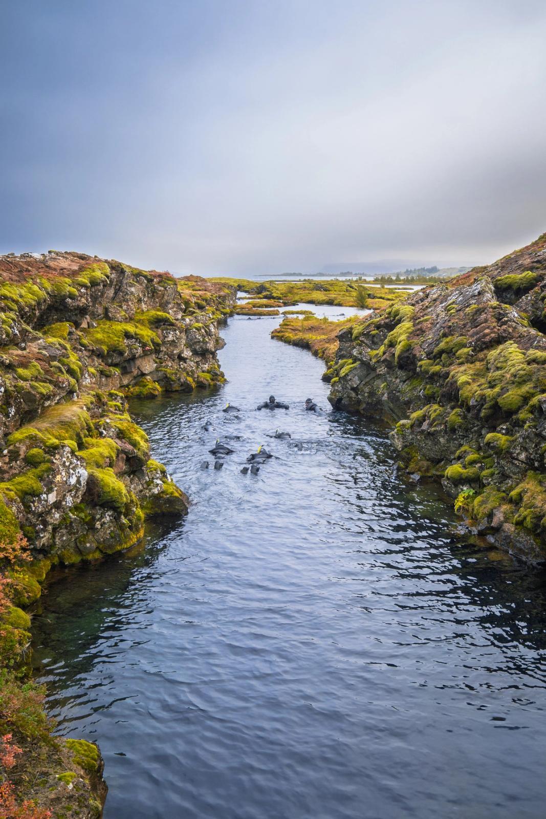 A river flows through a mossy gorge with several divers visible in the water.