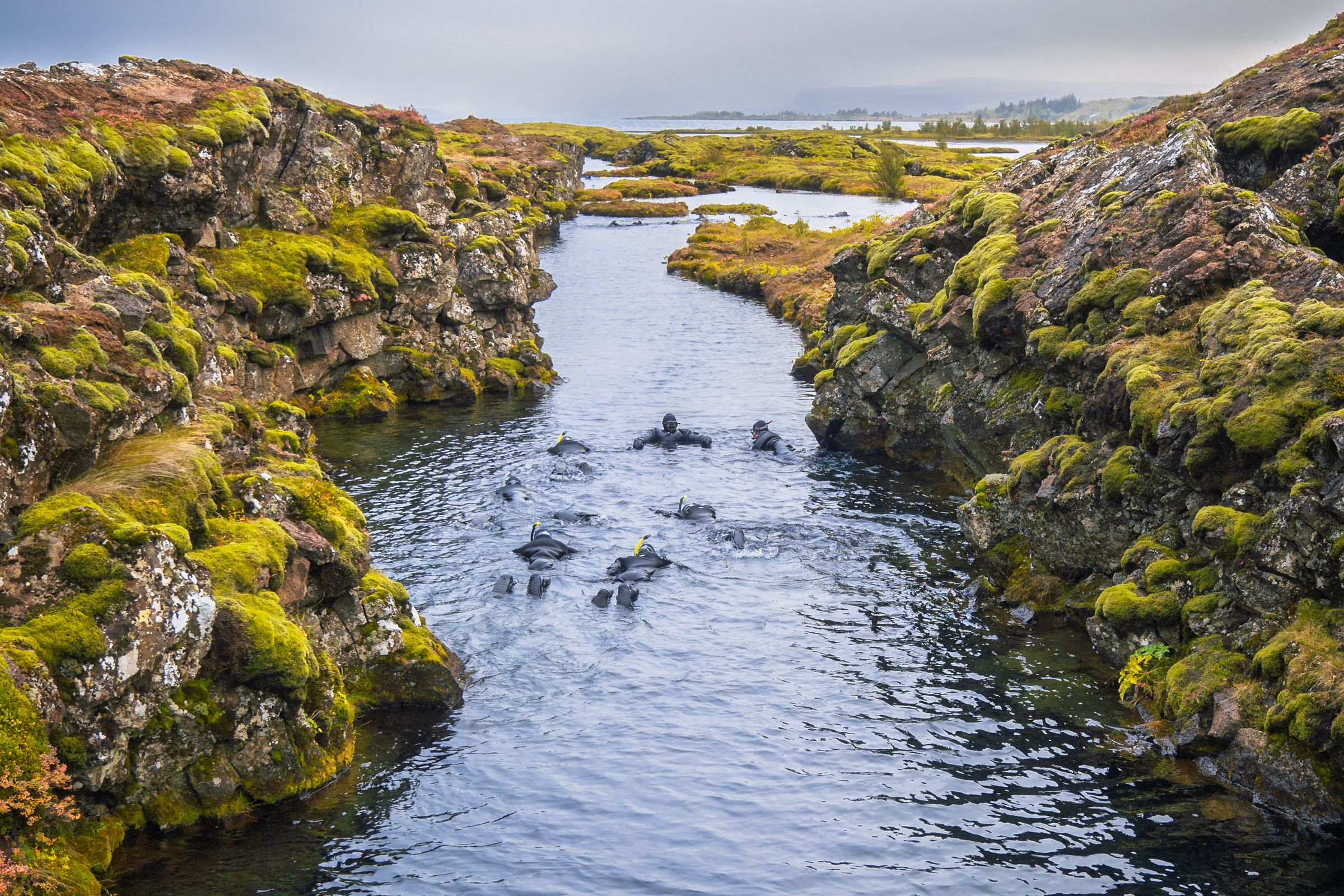 A river flows through a mossy gorge with several divers visible in the water.