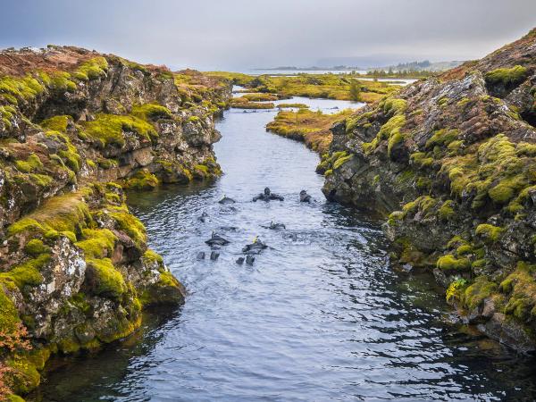 A clear river flows through a moss-covered rocky rift, with several dark-suited swimmers in the water.