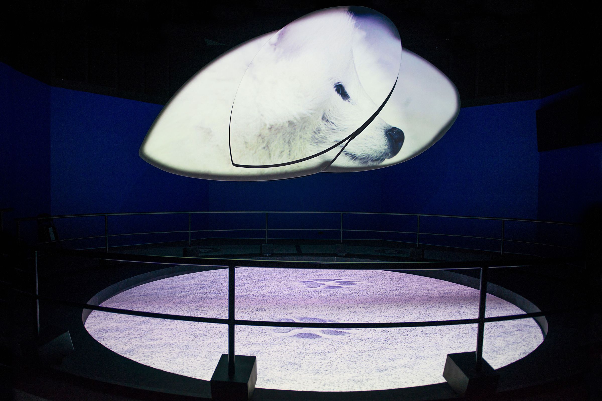 The well of time a stunning and immersive presentation of the ancient forces of nature in flyover iceland