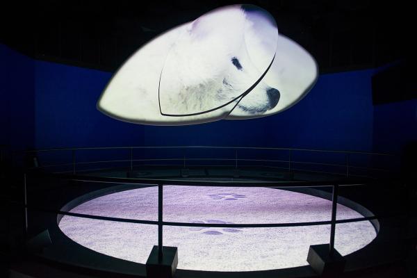 The well of time a stunning and immersive presentation of the ancient forces of nature in flyover iceland