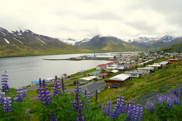 paisaje primaveral con flores y un pueblo en un fiordo