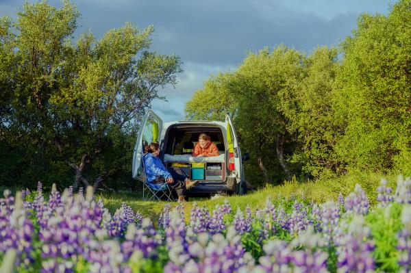 Two people relax by a camper van in a field of purple flowers and green trees.
