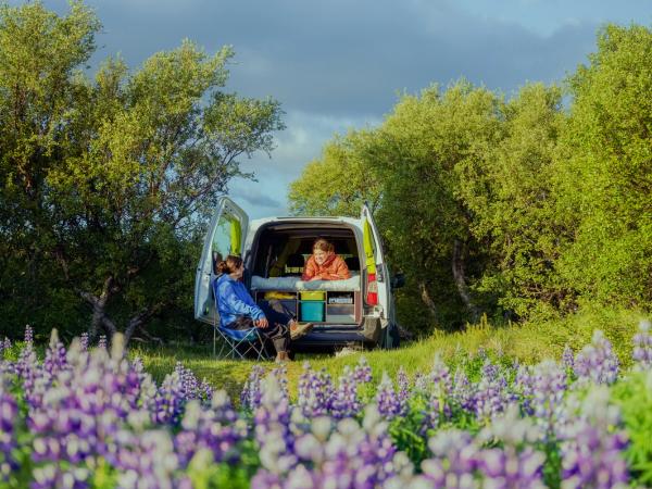 Two people relaxing at a camper van in a field of purple flowers.