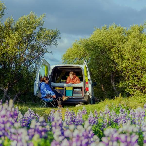 a couple is sitting in the back of a van in a field of purple flowers .