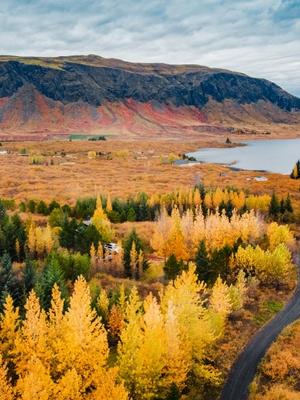 Thingvellir in autumn
