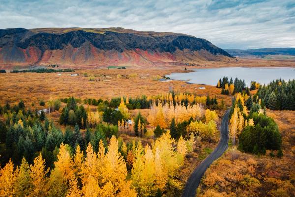 A park with trees, mountains and a lake during fall
