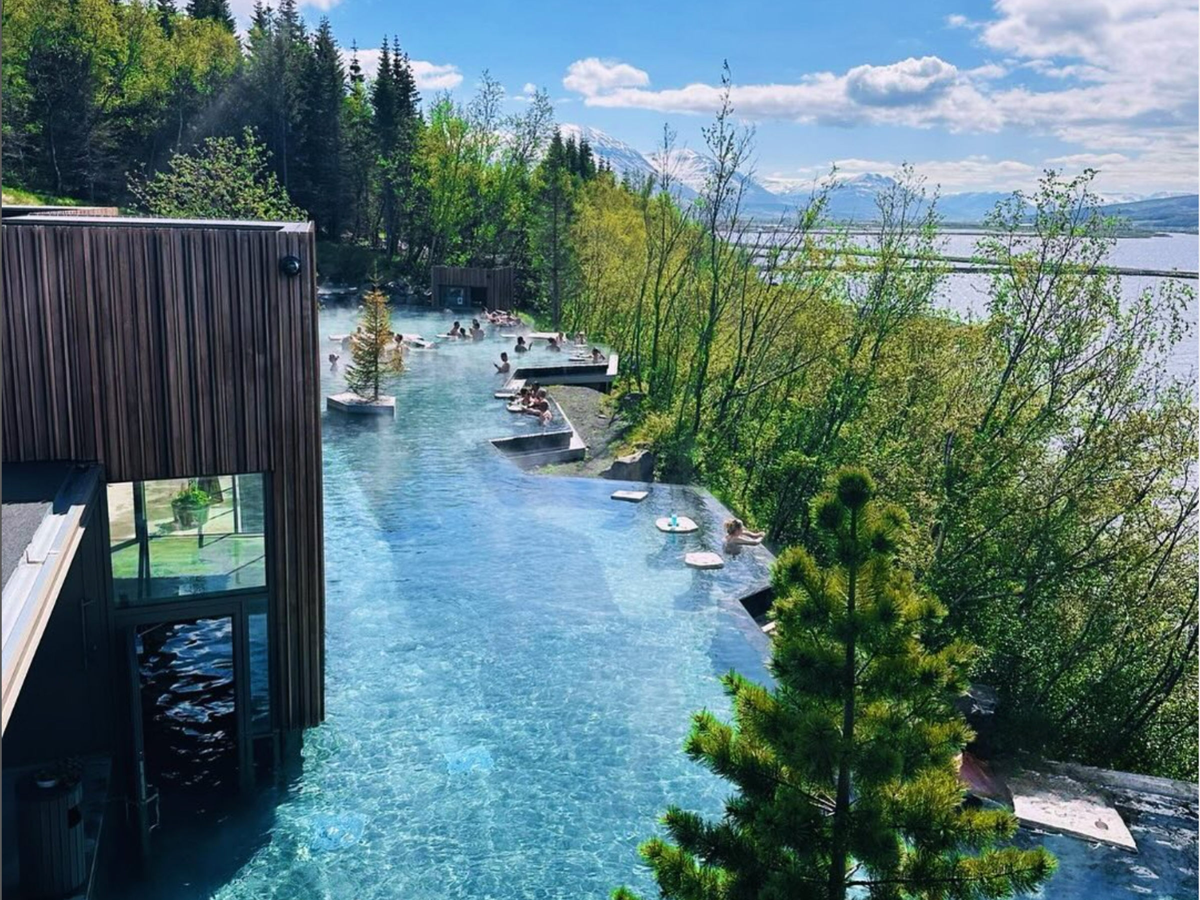 la gente está nadando en una piscina grande rodeada de árboles