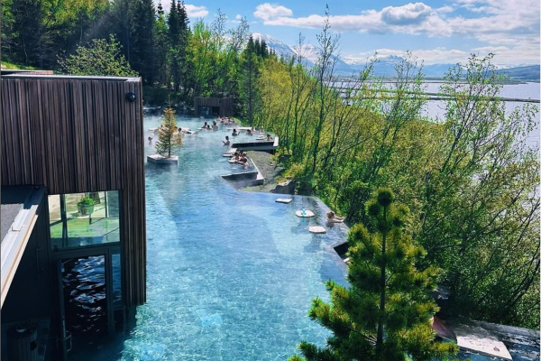 la gente está nadando en una gran piscina rodeada de árboles