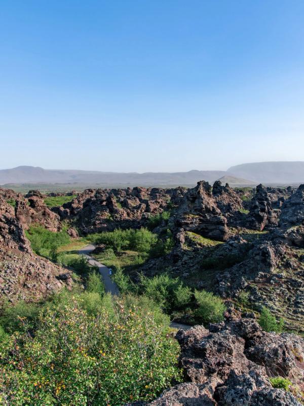 A volcanic landscape filled with dark, jagged rock formations, green shrubs, a winding path, and distant mountains under a clear sky.