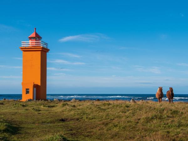 un faro de color naranja junto a dos caballos islandeses