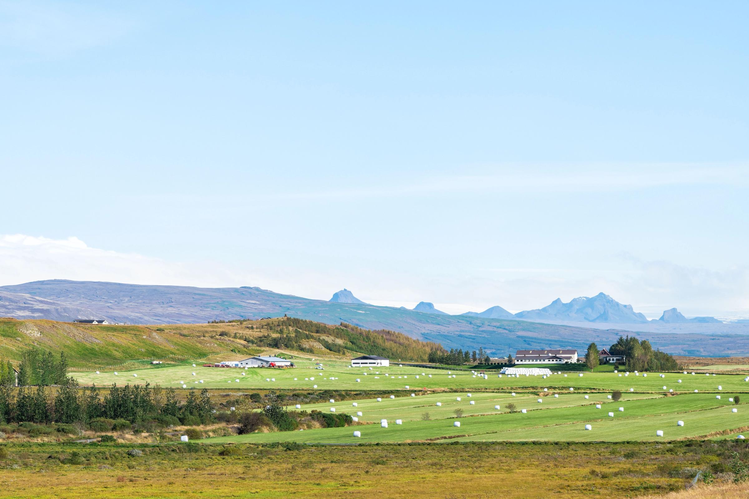 una granja con muchos fardos de heno en un campo con montañas al fondo.