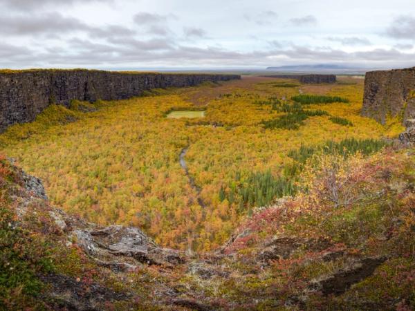 Ásbyrgi Canyon during fall