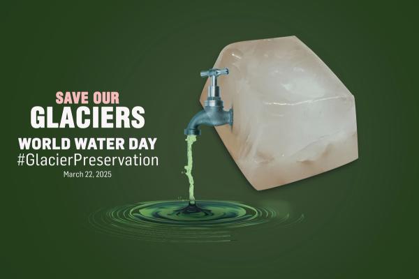 a poster for world water day with a faucet pouring water from a block of ice .
