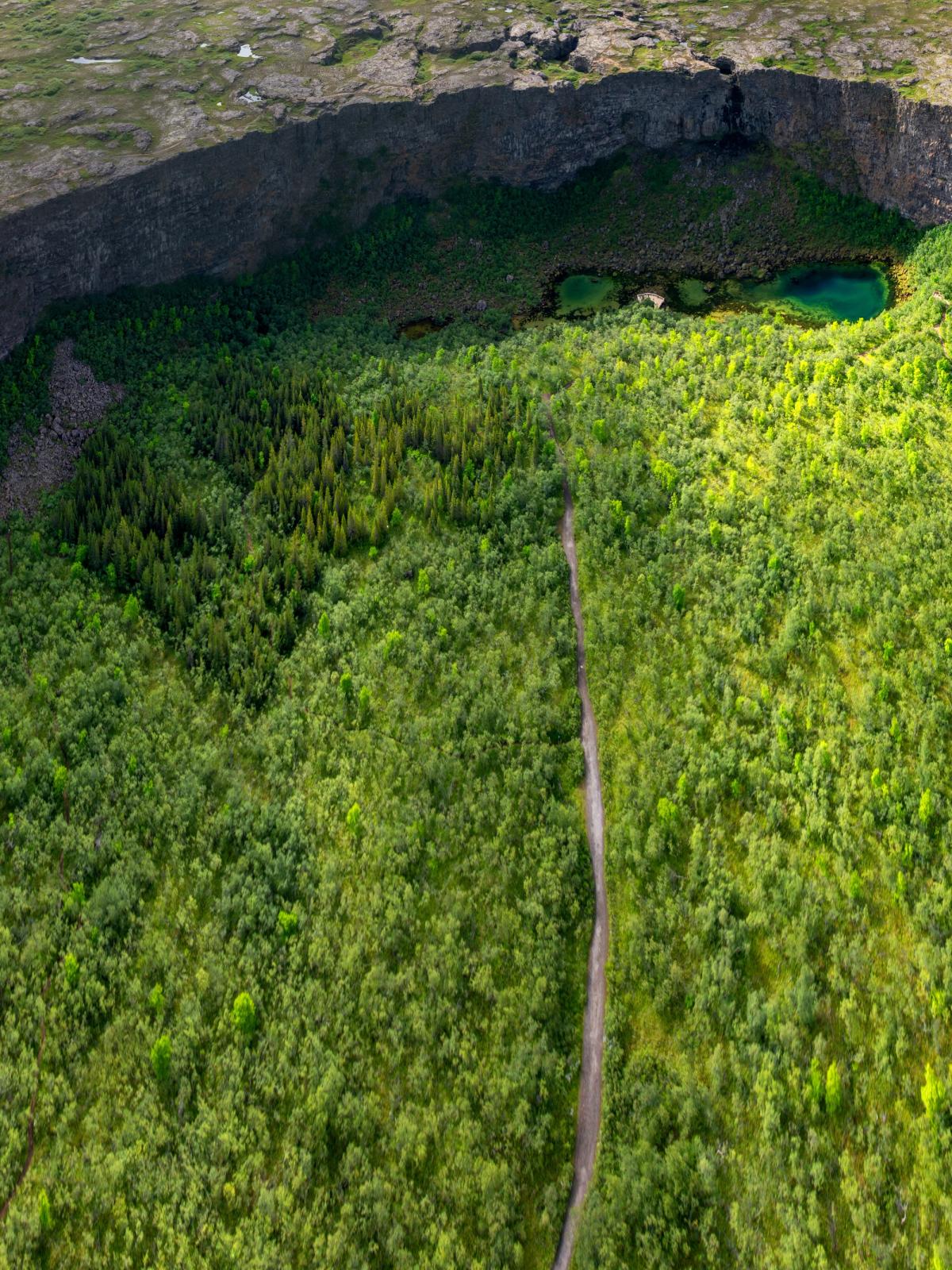 Vista aérea de un cañón profundo lleno de un frondoso bosque verde, con un sendero serpenteante y pequeñas pozas de color turquesa.