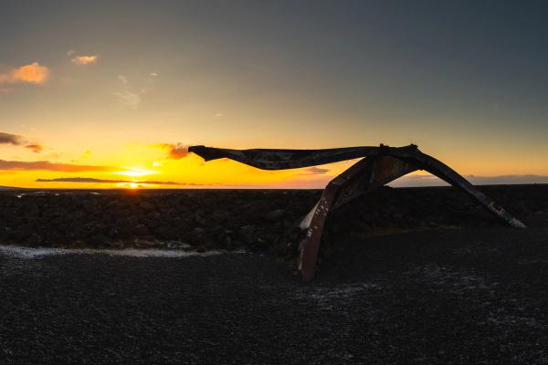 Rusted, wing-shaped wreckage on dark ground at sunset.
