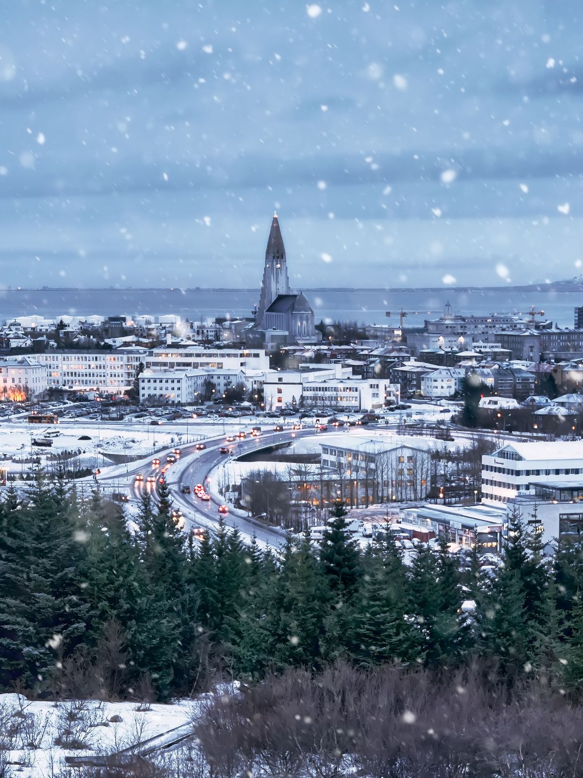 Christmas in Iceland a city in the snow with a lot of buildings and trees in the foreground .