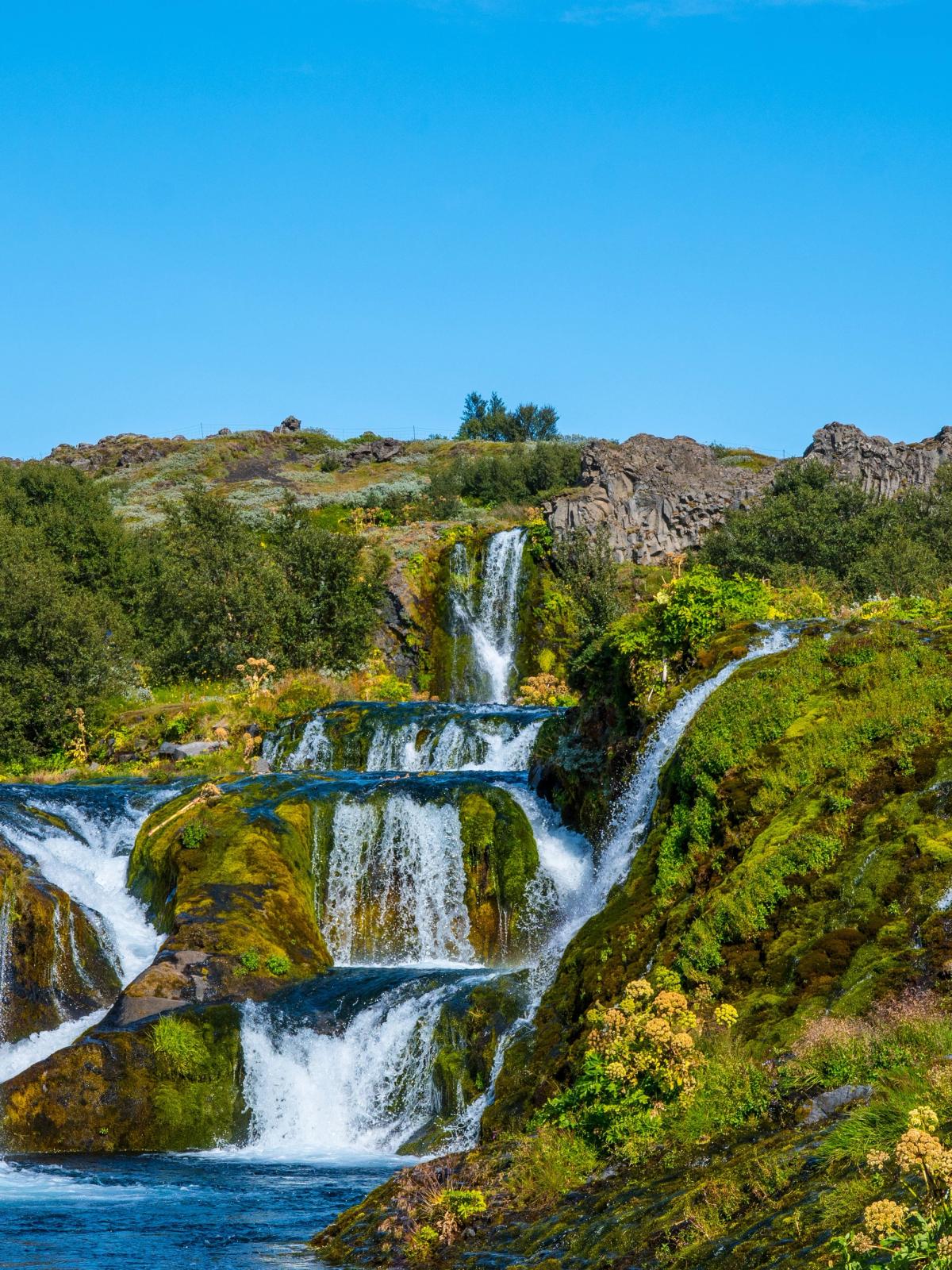 Hermoso valle con flores y cascadas