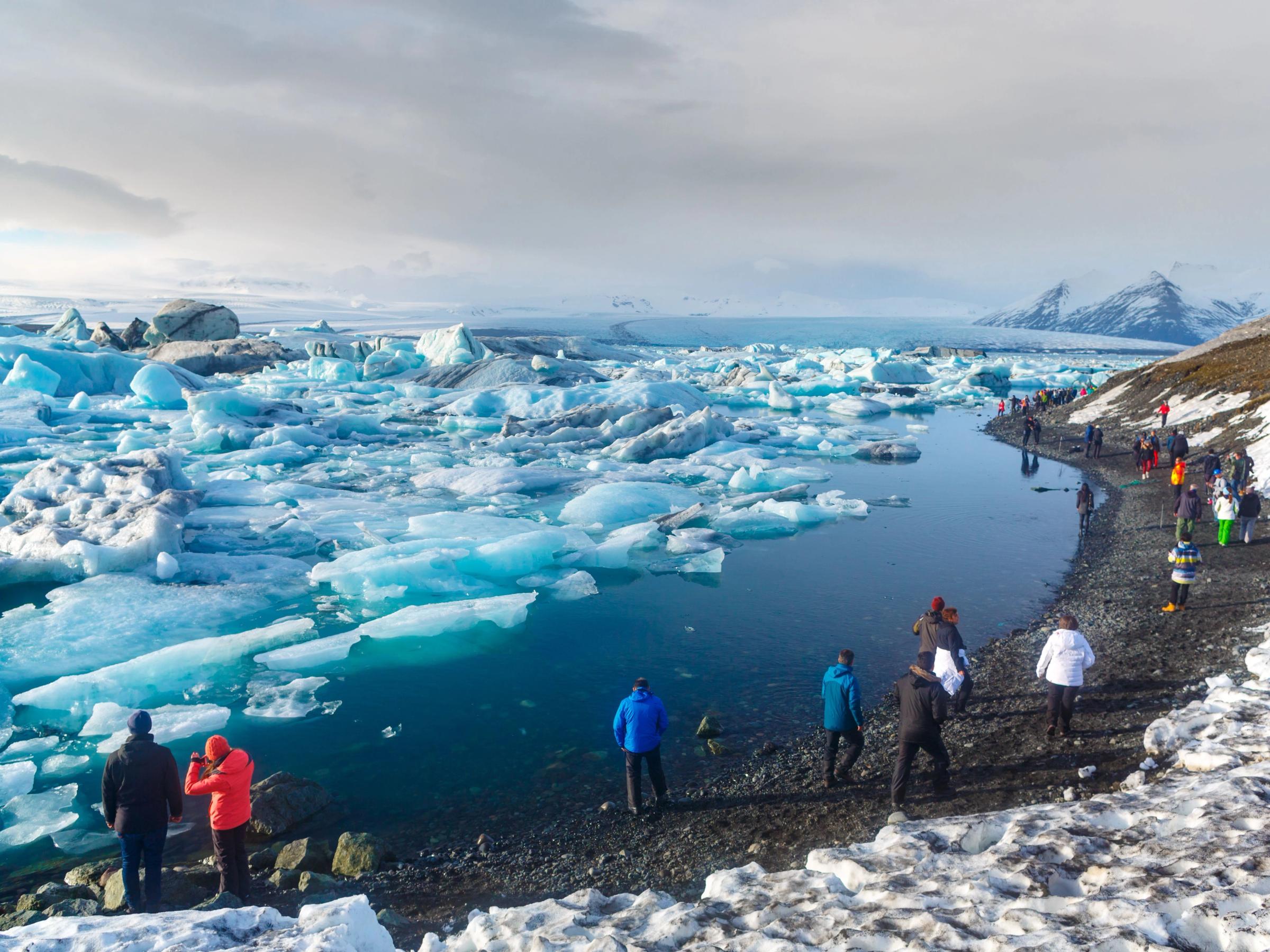 personas mirando una laguna glaciar con muchos icebergs