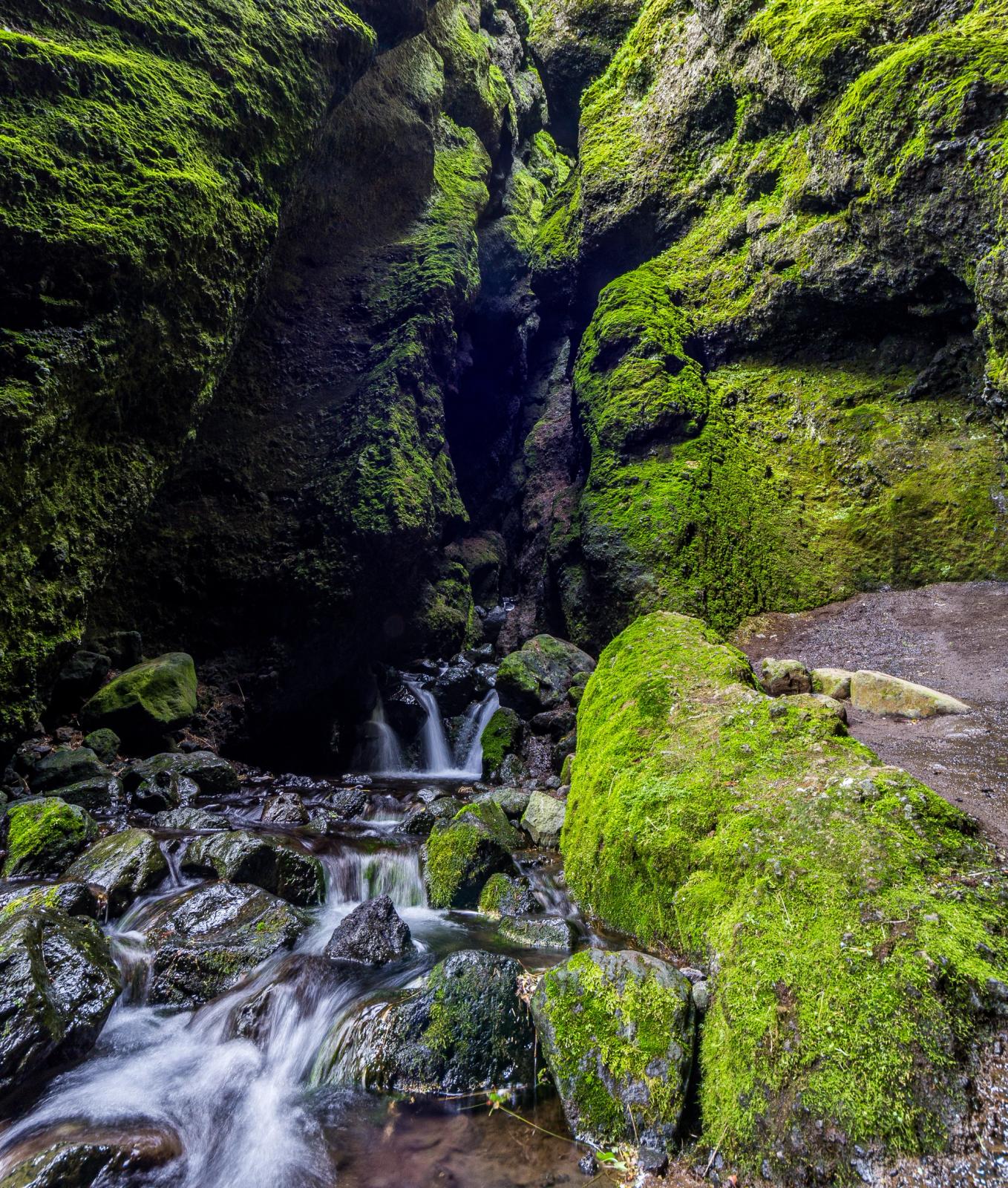 A moss-covered canyon with a stream flowing over rocks.