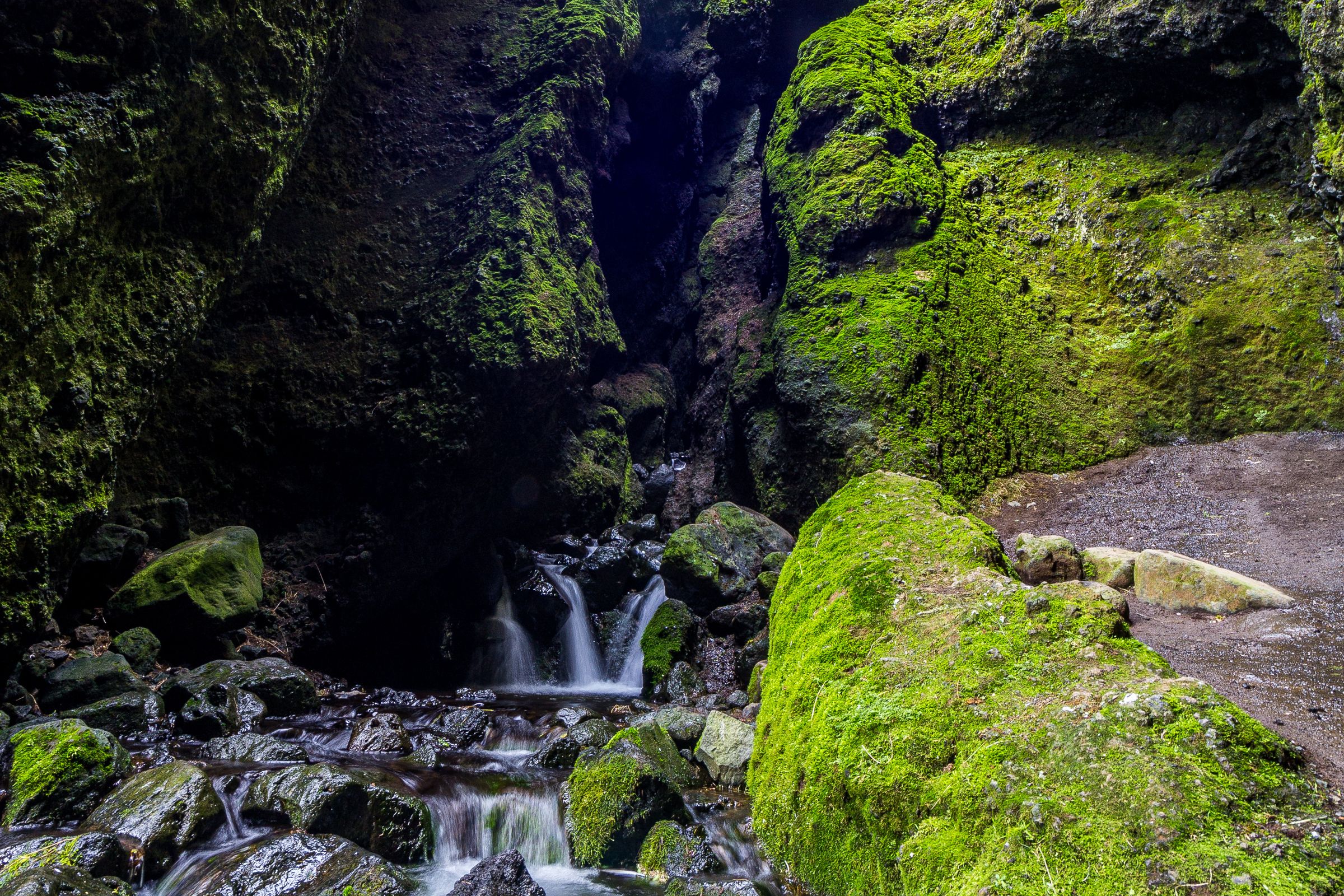 A moss-covered canyon with a stream flowing over rocks.