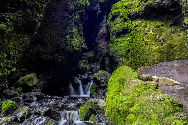 Un cañón cubierto de musgo con un arroyo que fluye sobre las rocas.