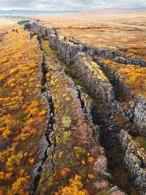an aerial view of a rocky cliff surrounded by trees in autumn .