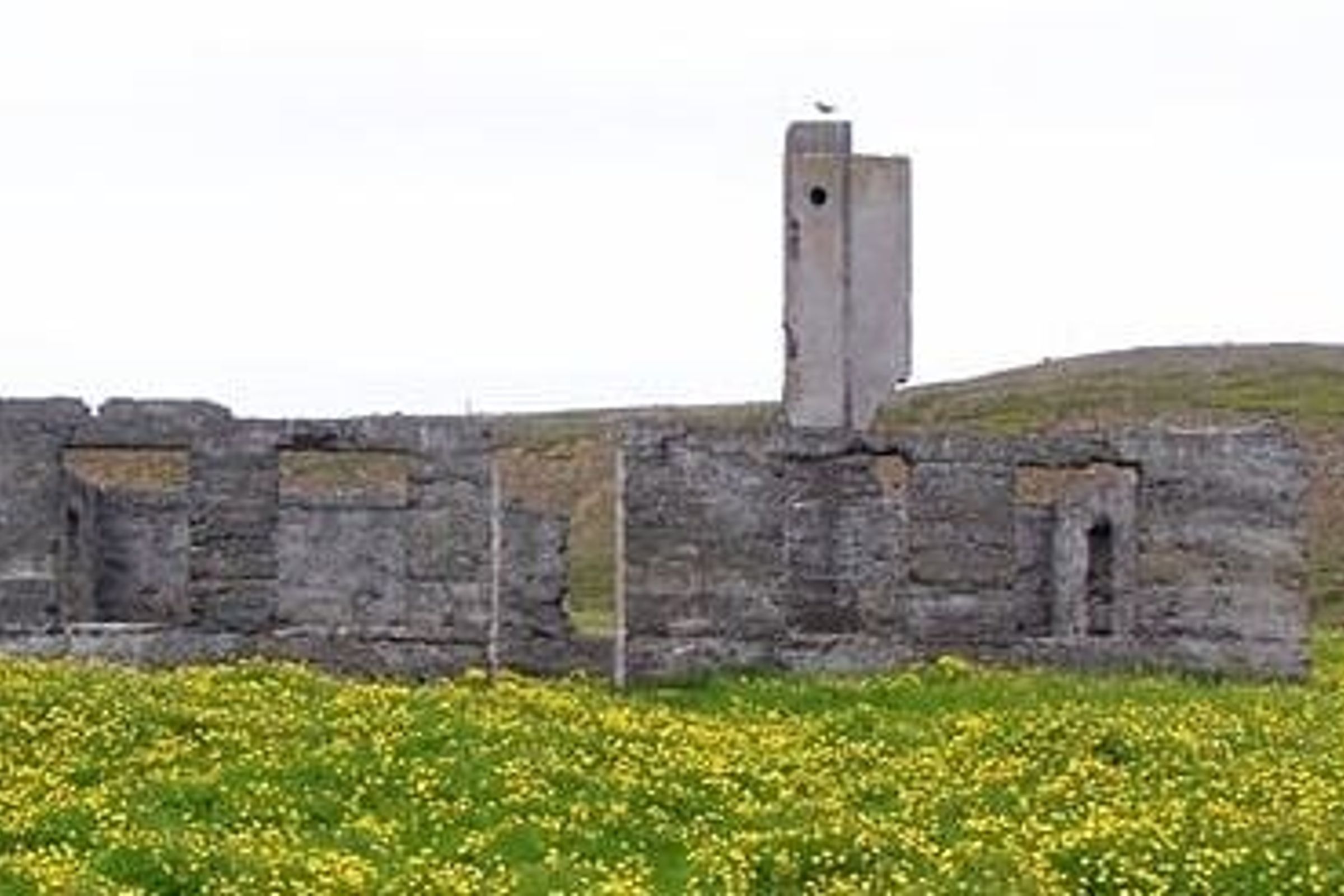 a very old building is sitting in the middle of a field of yellow flowers at skálar in north iceland.