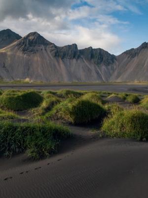 A person in a red jacket walks on a black sand beach with green grass tufts, towards jagged dark mountains and the ocean.