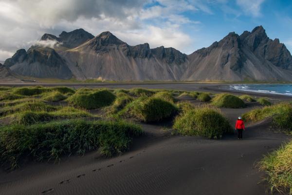 A person in a red jacket walks on a black sand beach with grassy dunes, backed by dramatic dark mountains and the ocean.