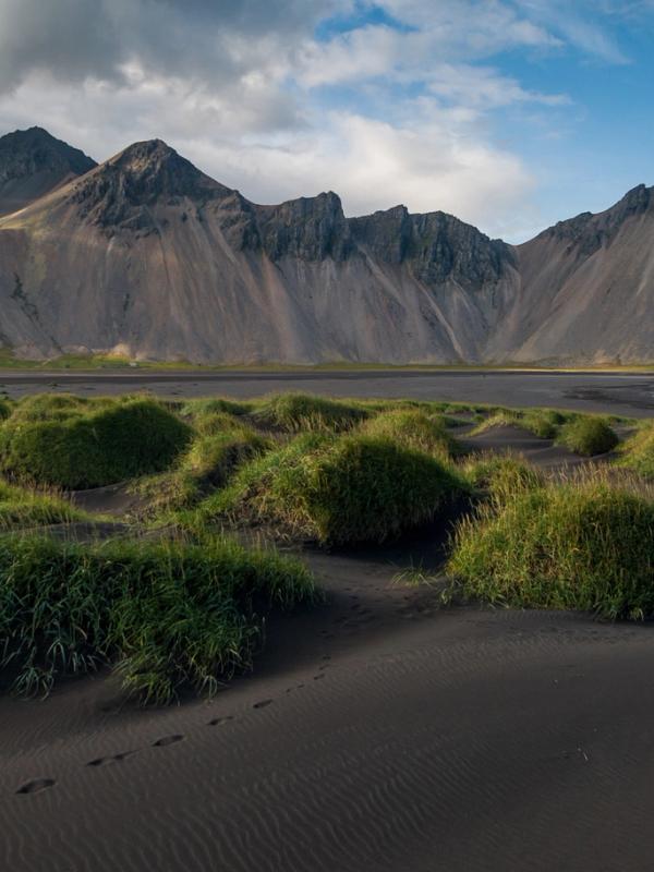 A person in a red jacket walks on a black sand beach with green grass tufts, towards jagged dark mountains and the ocean.