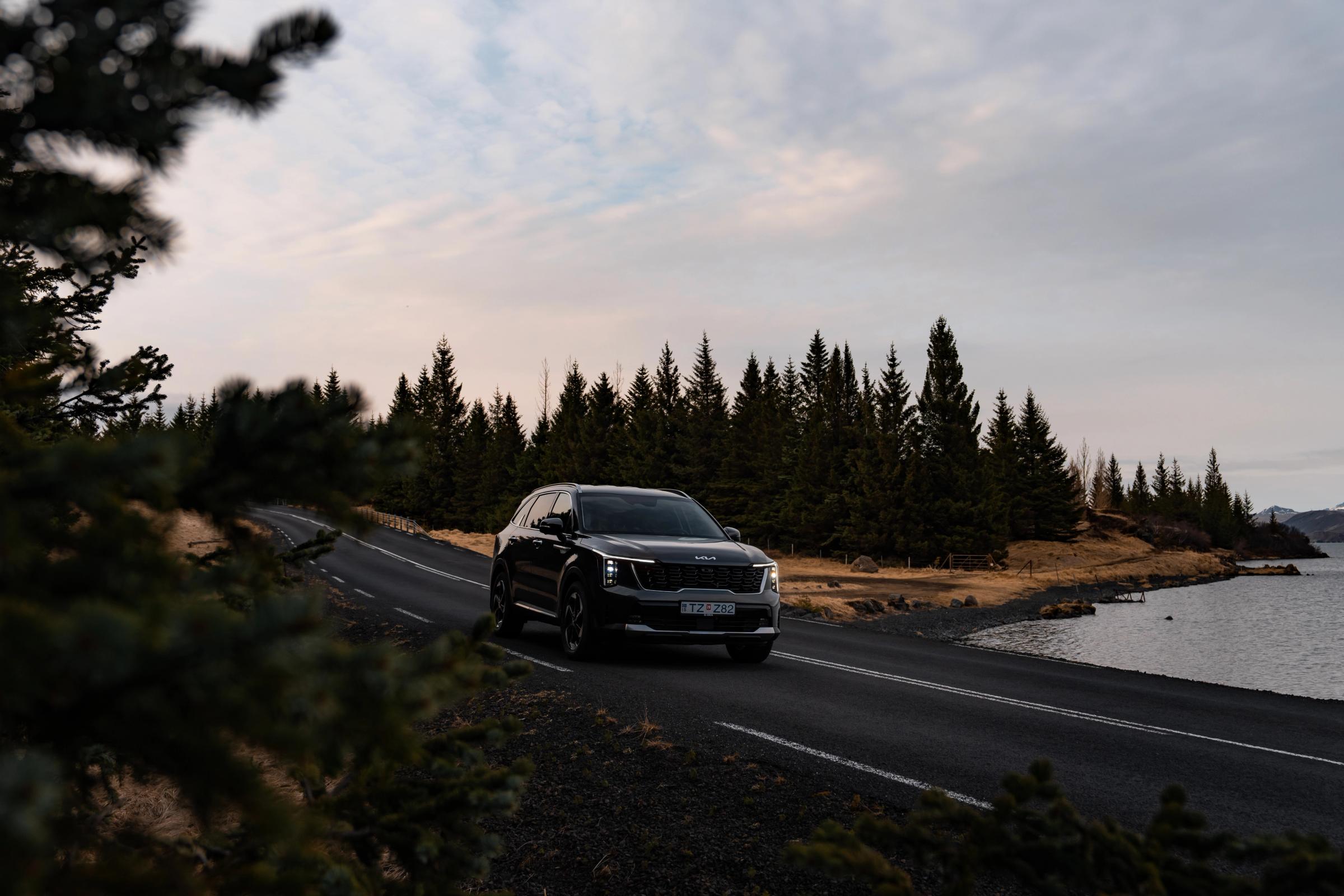 Kia Sorento roulant sur une route côtière goudronnée bordée de pins