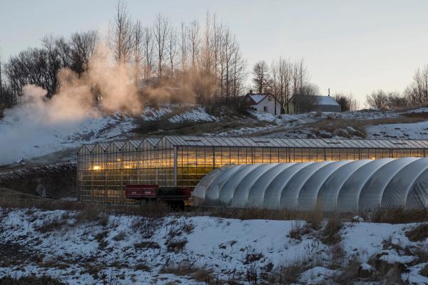 Heated greenhouses glow orange in a cold, snowy landscape with steam rising from nearby trees and a house on a distant hill.
