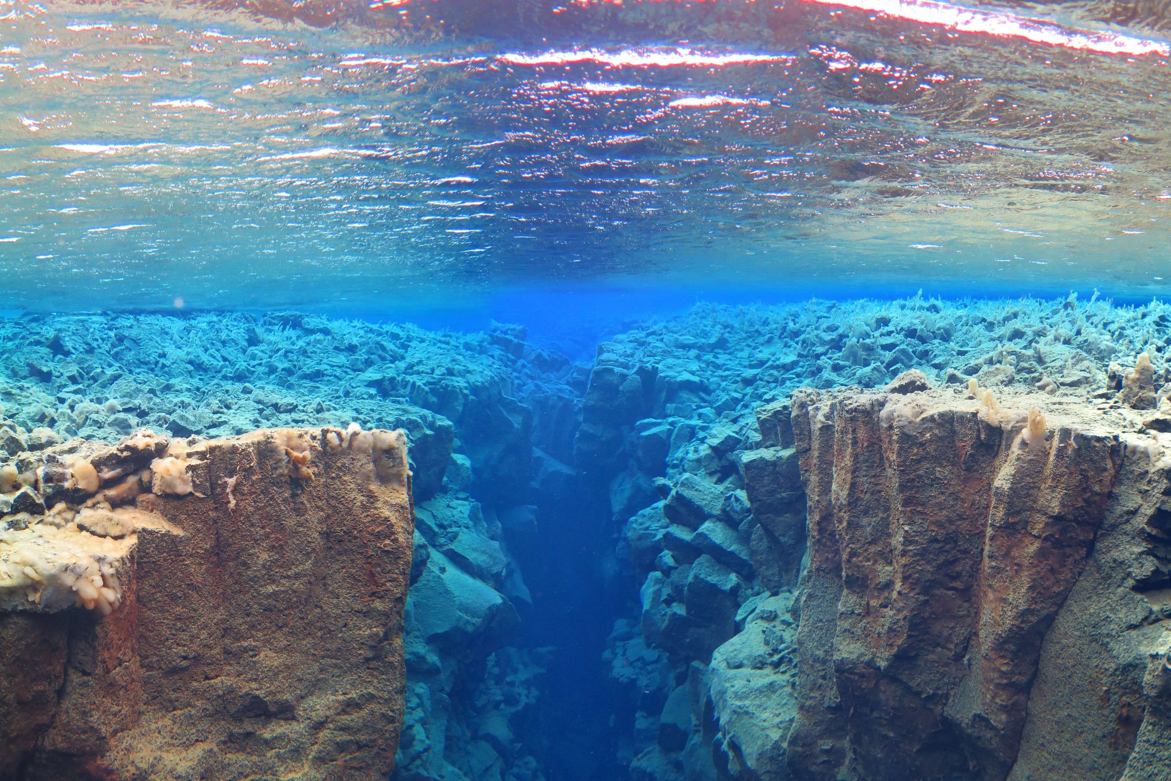 una vista submarina de un cañón lleno de agua y rocas.