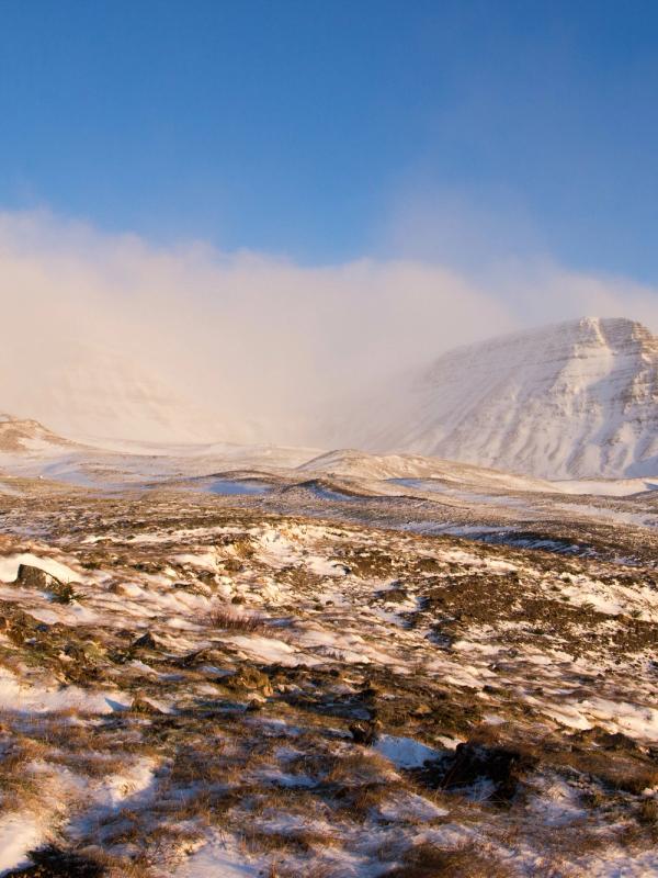 a snowy landscape with a mountain in the background and a blue sky with clouds .