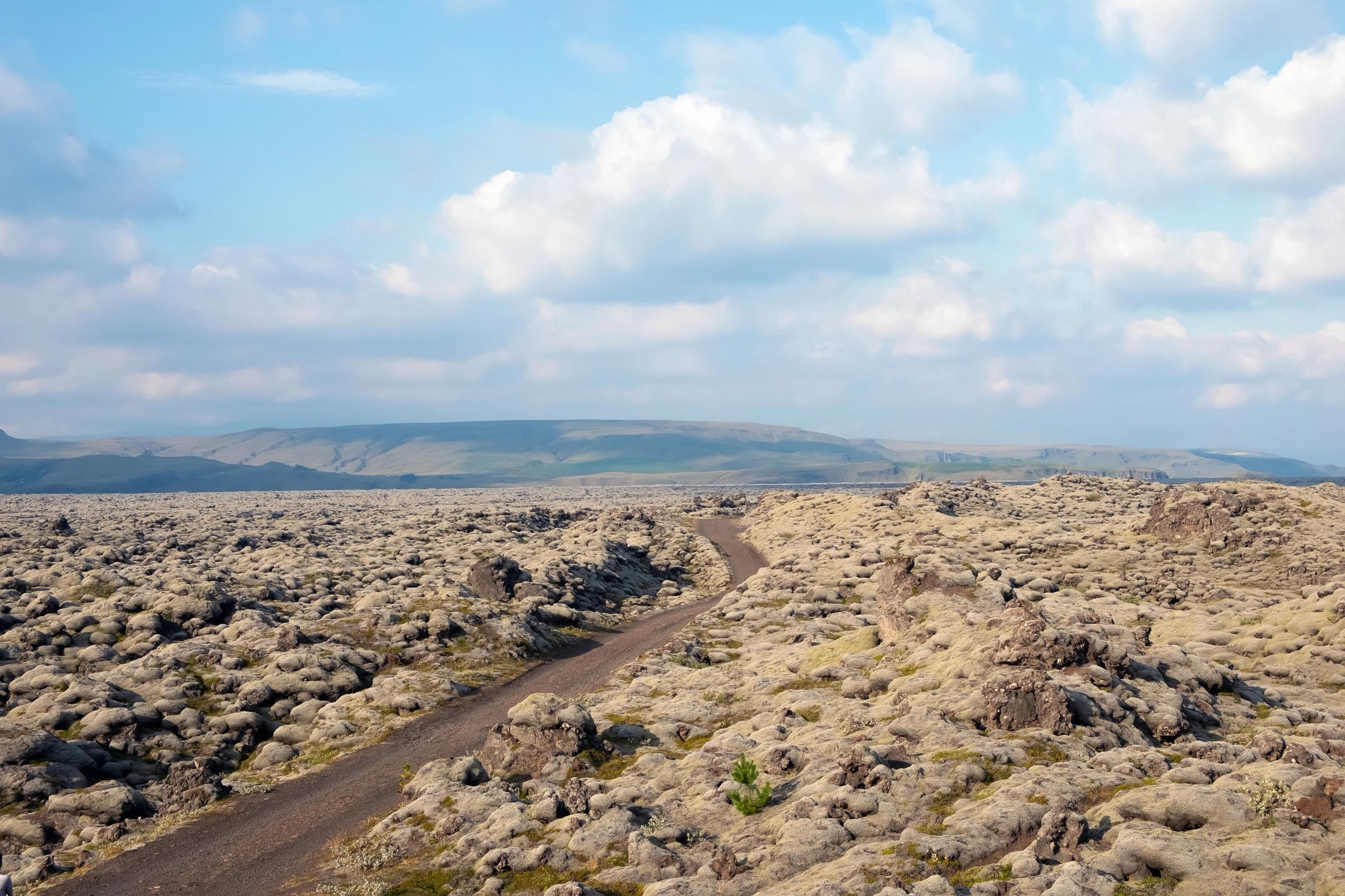 Huge lava field with a gravel path in the middle