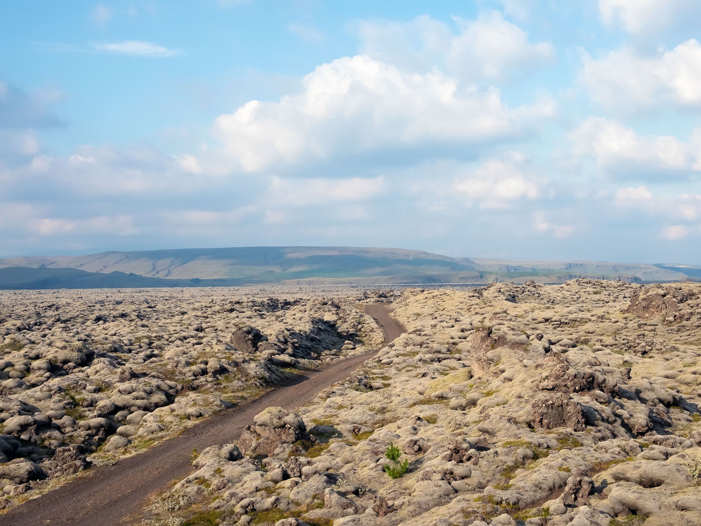 Huge lava field with a gravel path in the middle