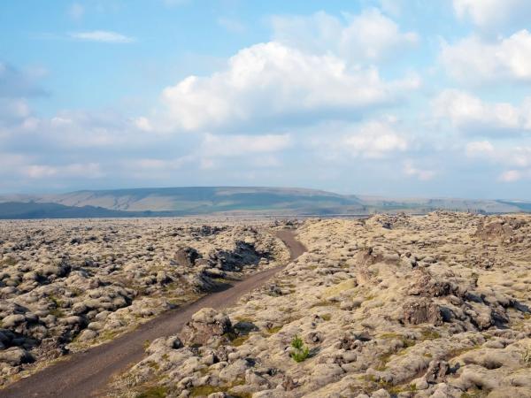 Huge lava field with a gravel path in the middle