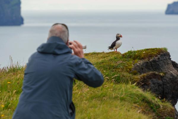 a man is taking a picture of a puffin on a cliff .