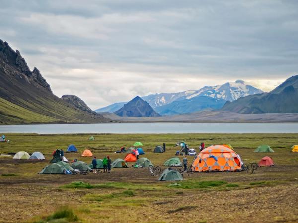 a group of people are camping in a field near a lake with mountains in the background .