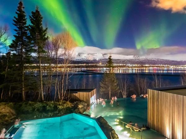 Forest Lagoon durante la aurora boreal