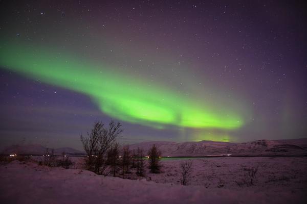 Green aurora borealis streams across a starry night sky above a snow-covered winter landscape with bare trees.