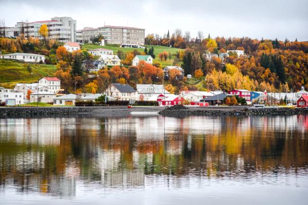 Akureyri in fall Akureyri near the water in fall with orange trees and cozy weather