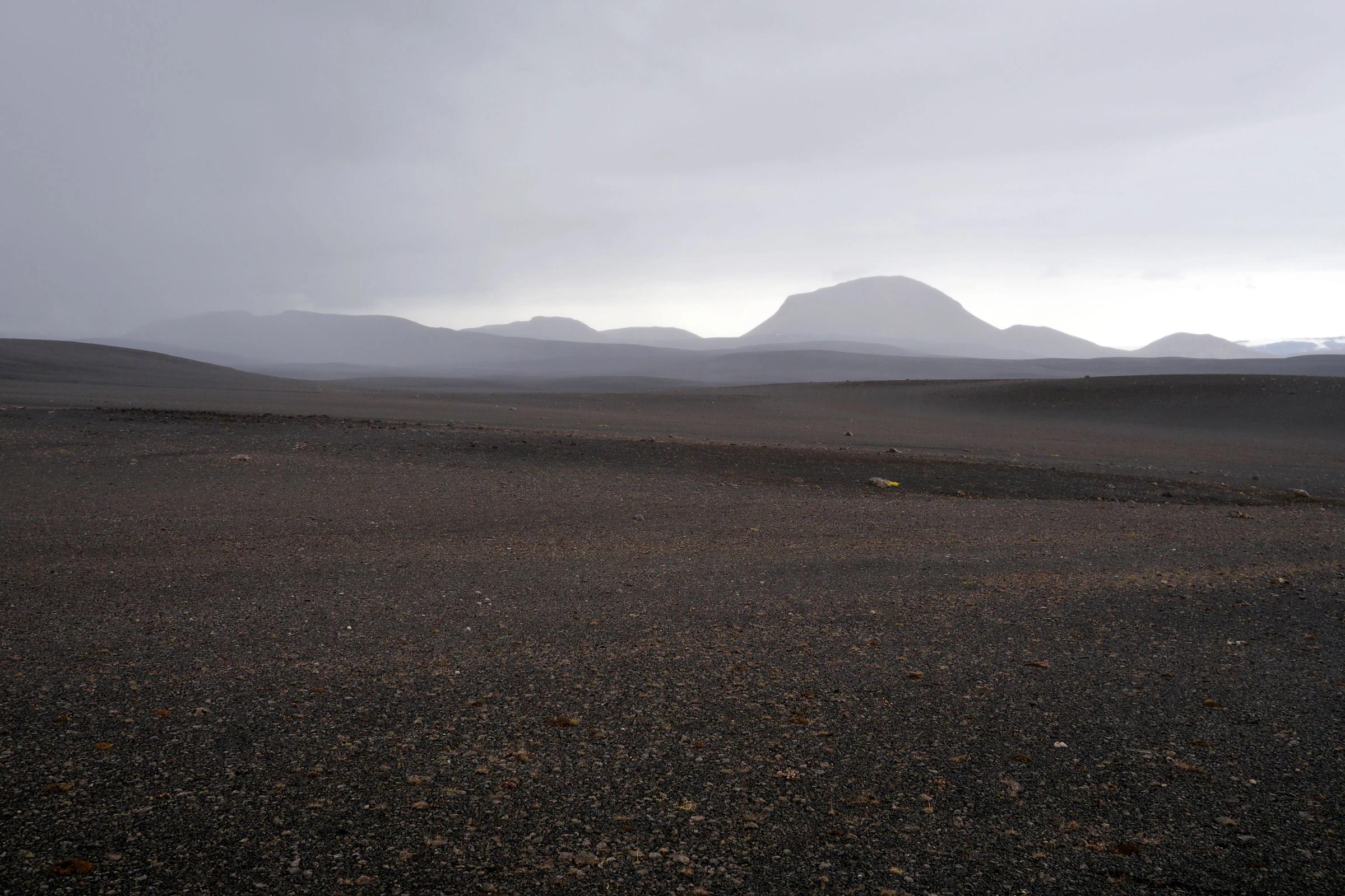 a desert landscape with mountains in the background on a cloudy day .