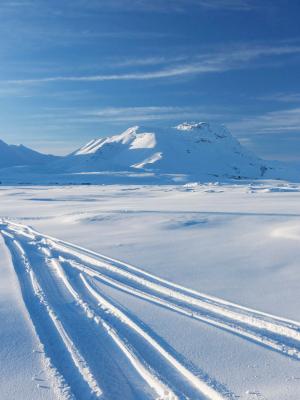 Huellas del paso de un vehículo en la nieve