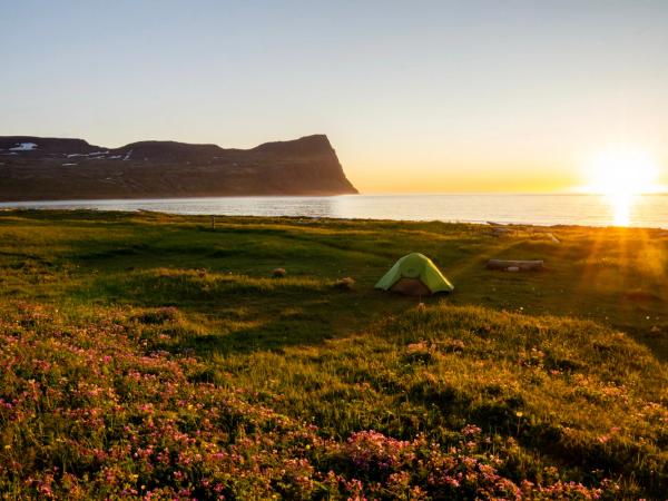 Tent on a green field in front of the sea during the Midnight Sun
