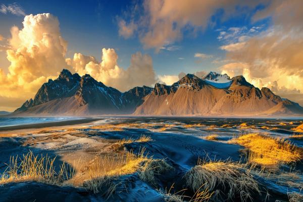 Vestrahorn mountains in the background and a field in the foreground .