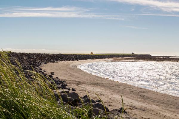 a white sand beach with rocks and grass